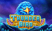 GA Thunder Bird